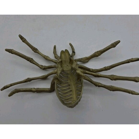 Halloween Skeleton Vulture Rat Spider Bones Props Decoration Horror Spooky Lot - Picture 3 of 14